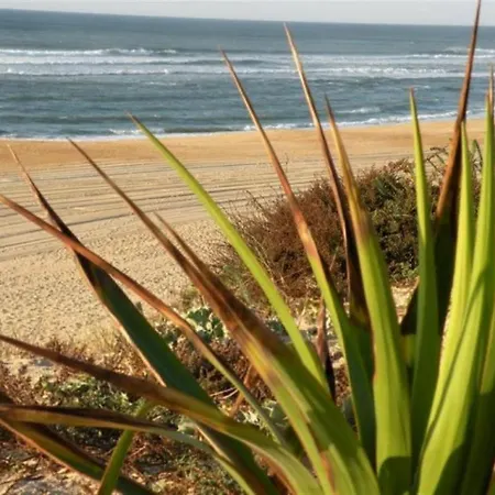 De La Plage - Le Penon Seignosse